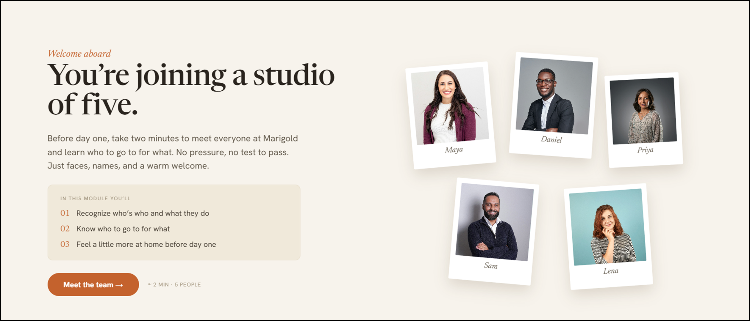 Marigold Studio - Interactive Team Introduction