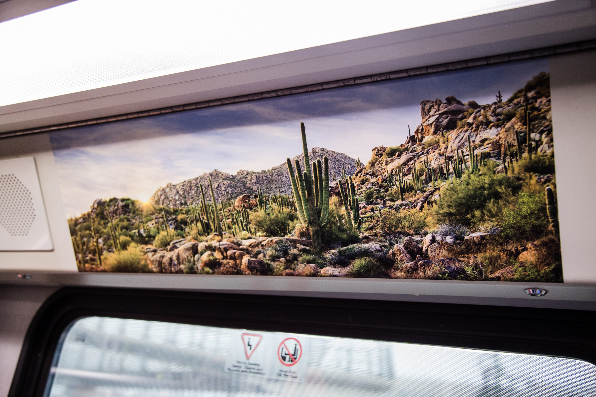 Scottsdale Arizona-0281